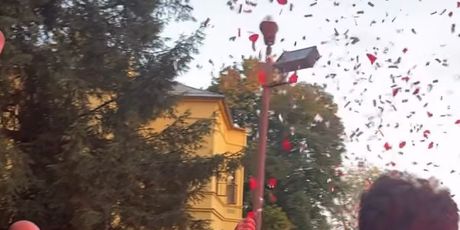 Vjenčanje Lucije Glavić - 14