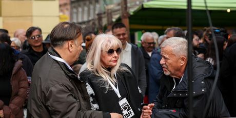 Hanka Paldum, Emir Hadžihafizbegović