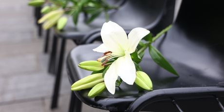 Komemoracija Halida Bešlića