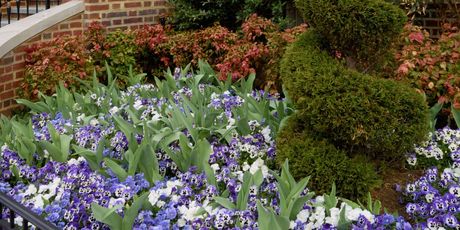 Kuća Kennedyjevih - 1