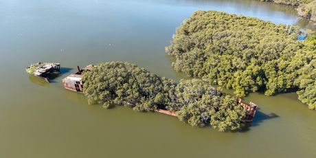Homebush Bay - 1
