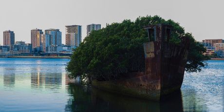Homebush Bay - 3