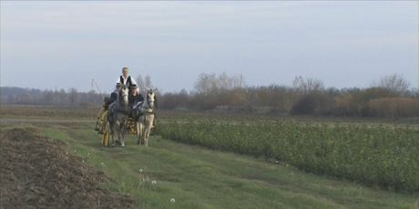 In Magazin: Šima Jovanovac - 7