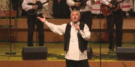 In Magazin: Šima Jovanovac - 8