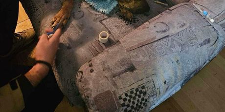 Psi za borbe u Derventi