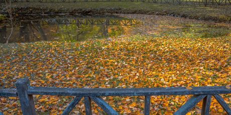 Vrelo Bosne - 11
