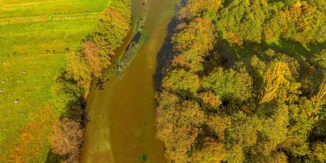 Vrelo Bosne - 12