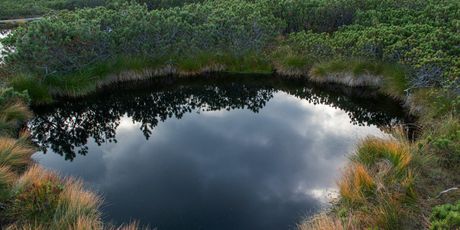 Lovrenška jezera - 9