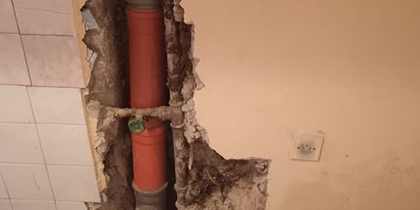 Štakori u stanu u Zagrebu - 3