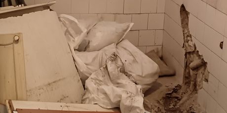 Štakori u stanu u Zagrebu - 4