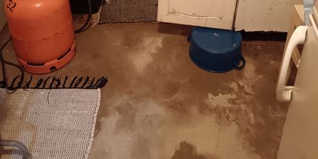 Štakori u stanu u Zagrebu - 6