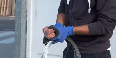 Opet problemi s glodavcima - 1