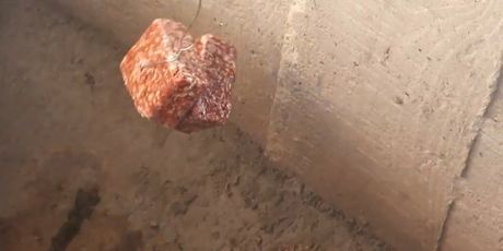 Opet problemi s glodavcima - 4