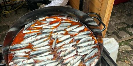 Udruga Palagruza na Festivalu de Loire - 27