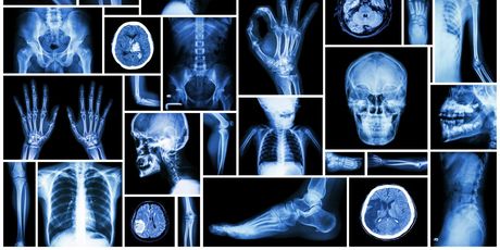 Kviz općeg znanja - 14