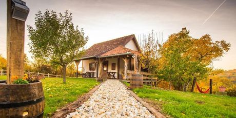 Kuća za odmor Atar - 28