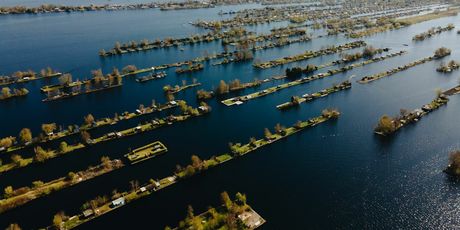 Vinkeveense Plassen - 11