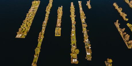 Vinkeveense Plassen - 12