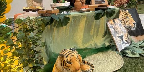 Fani Stipković, Fernando Hierro, proslava sinovog rođendana