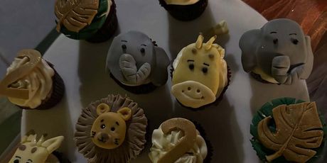 Fani Stipković, Fernando Hierro, proslava sinovog rođendana