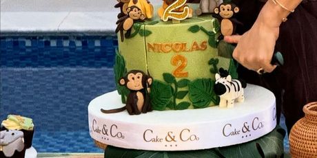 Fani Stipković, Fernando Hierro, proslava sinovog rođendana