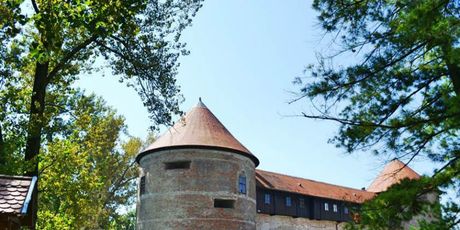 Stari grad Sisak - 5