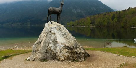 Bled i Bohinj - 2