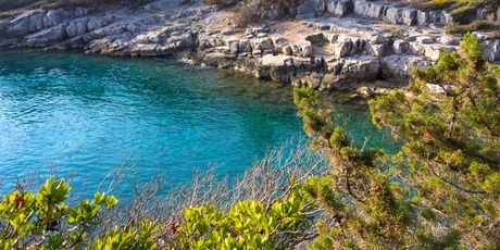 Hvar