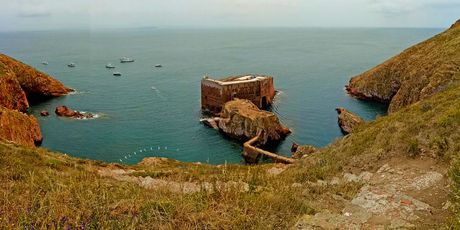 Berlengas - 6