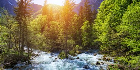 Bohinj - 1