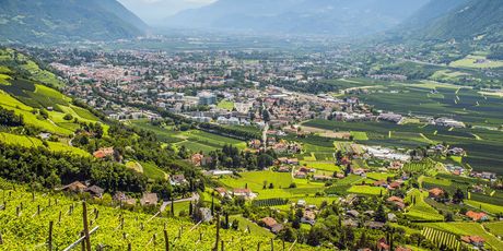 Merano - 4