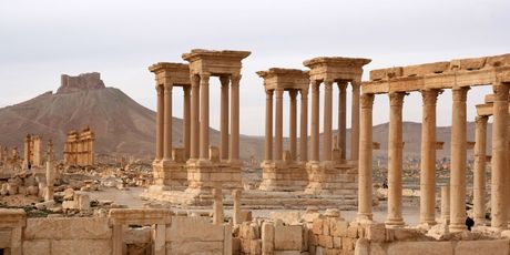 Palmira