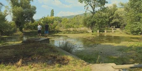 Dotok vode rijeke Vrljike još je uvijek slab (Foto: Dnevnik.hr) - 2