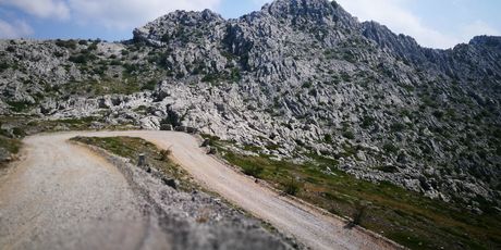 Majstorska cesta - 6