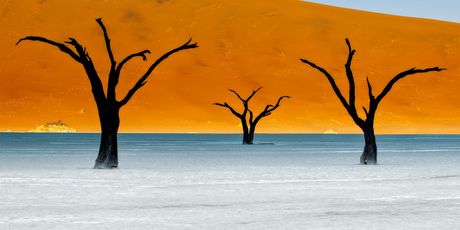 DeadVlei u Namibiji - 2
