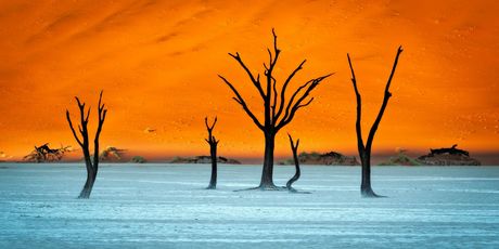 DeadVlei u Namibiji - 3