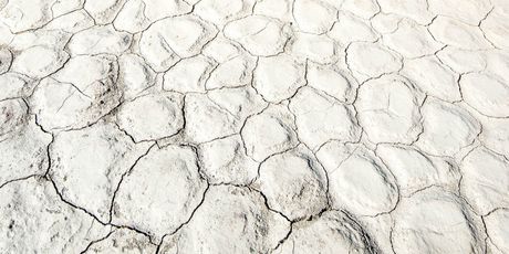 Zapanjujući prizori u namibijskoj pustinji