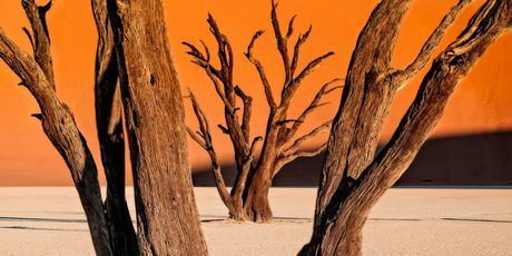 DeadVlei u Namibiji - 5