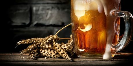 Pivo