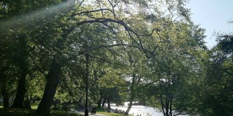 Göteborg