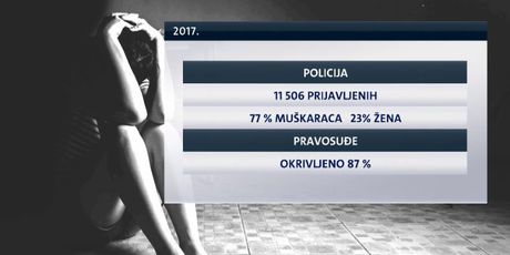 Statistika vezana uz nasilje nad ženama (Foto: Dnevnik.hr) - 2