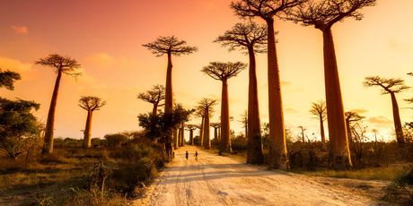Madagaskar