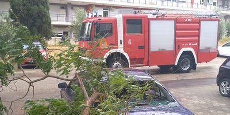 Orkanska bura u Splitu rušila grane (Foto: Dnevnik.hr)