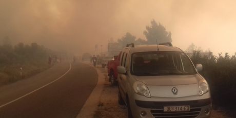 Požar na ulazu u Orebić (Foto: Raza Vekić)