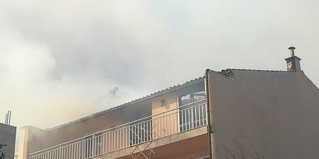 Požar na Pelješcu (Foto: Dnevnik.hr)