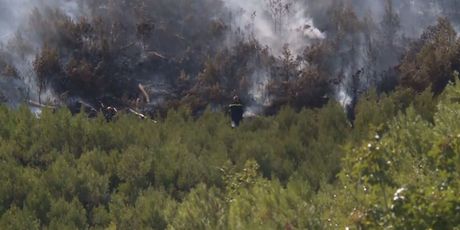 Treći dan požara na jugu Hrvatske (Foto: Dnevnik.hr) - 4