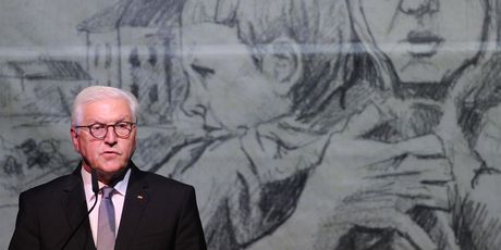Frank-Walter Steinmeier (Foto: AFP)
