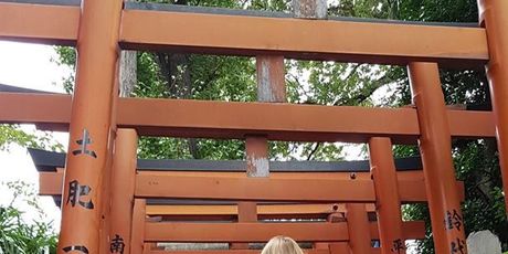 Ueno park - Tori gates