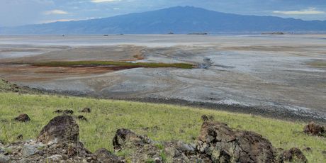 Jezero Natron, Tanzanija - 3