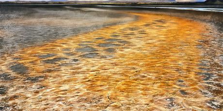 Jezero Natron, Tanzanija - 4